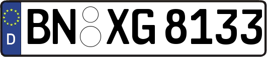 BN-XG8133