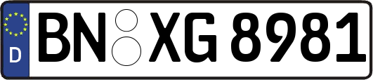 BN-XG8981