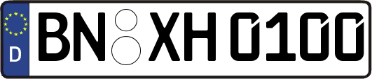 BN-XH0100