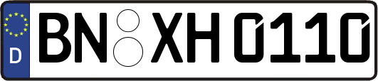 BN-XH0110