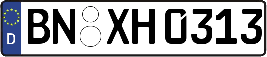 BN-XH0313