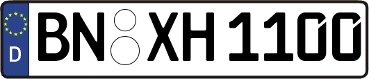 BN-XH1100