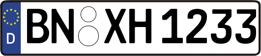 BN-XH1233