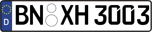 BN-XH3003
