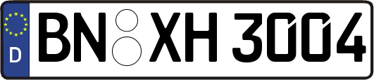 BN-XH3004