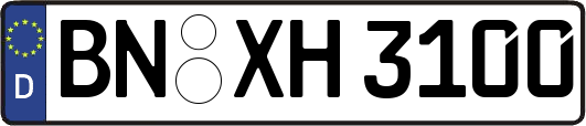 BN-XH3100