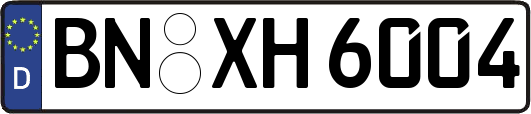 BN-XH6004