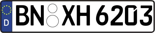 BN-XH6203
