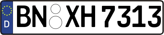 BN-XH7313