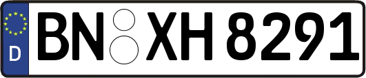 BN-XH8291