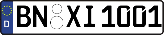 BN-XI1001