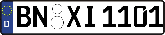 BN-XI1101