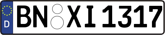 BN-XI1317