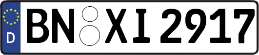 BN-XI2917