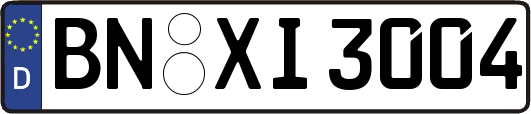 BN-XI3004