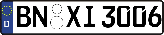 BN-XI3006