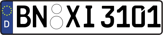 BN-XI3101