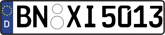 BN-XI5013