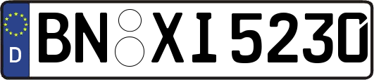 BN-XI5230