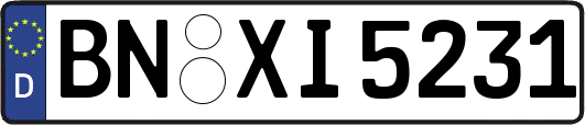 BN-XI5231
