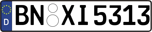 BN-XI5313