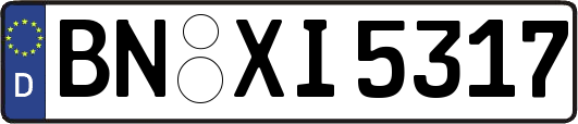 BN-XI5317