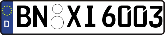 BN-XI6003