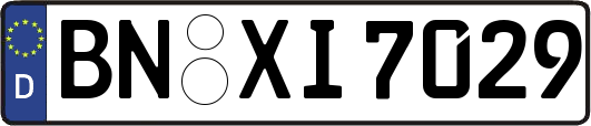 BN-XI7029