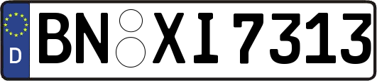 BN-XI7313