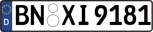 BN-XI9181