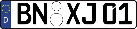 BN-XJ01