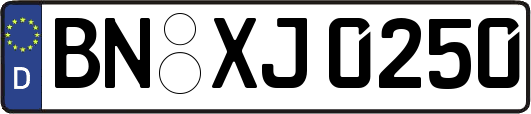 BN-XJ0250