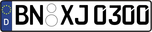 BN-XJ0300