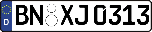 BN-XJ0313
