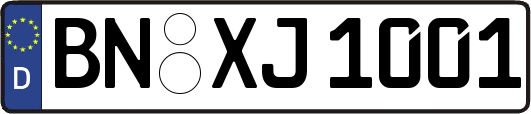 BN-XJ1001
