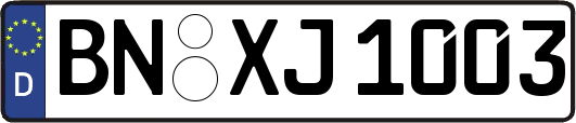 BN-XJ1003