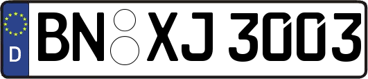 BN-XJ3003