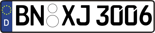 BN-XJ3006