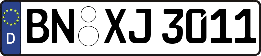 BN-XJ3011