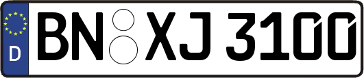 BN-XJ3100