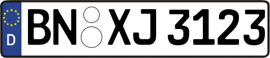 BN-XJ3123