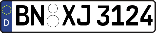 BN-XJ3124