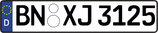 BN-XJ3125