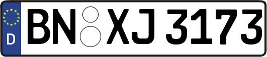 BN-XJ3173