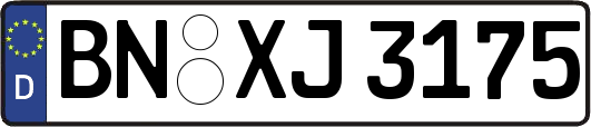 BN-XJ3175