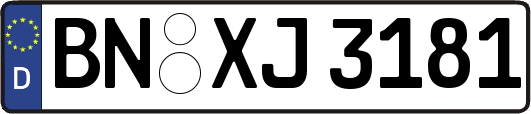 BN-XJ3181