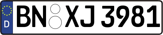 BN-XJ3981