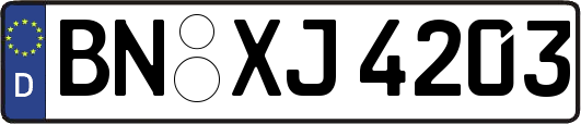 BN-XJ4203