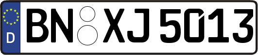 BN-XJ5013