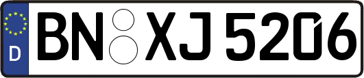 BN-XJ5206